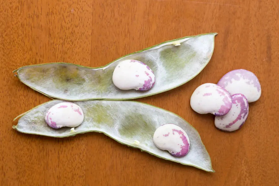 Descubre el garrofón valenciano: el ingrediente clave para una auténtica paella