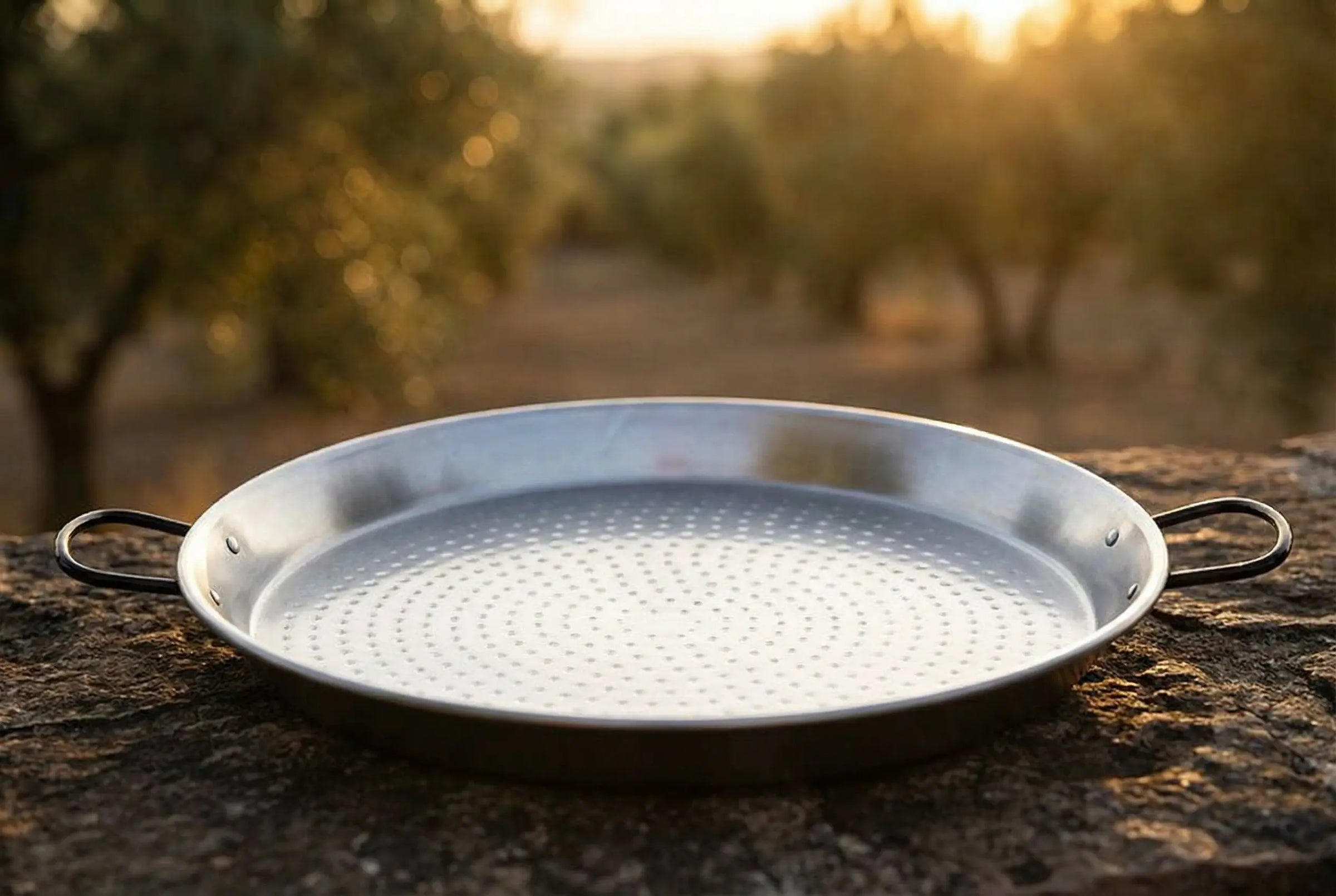 Paellas-Profesionales-de-Grosor-Especial-Resistencia-Extrema Escuina