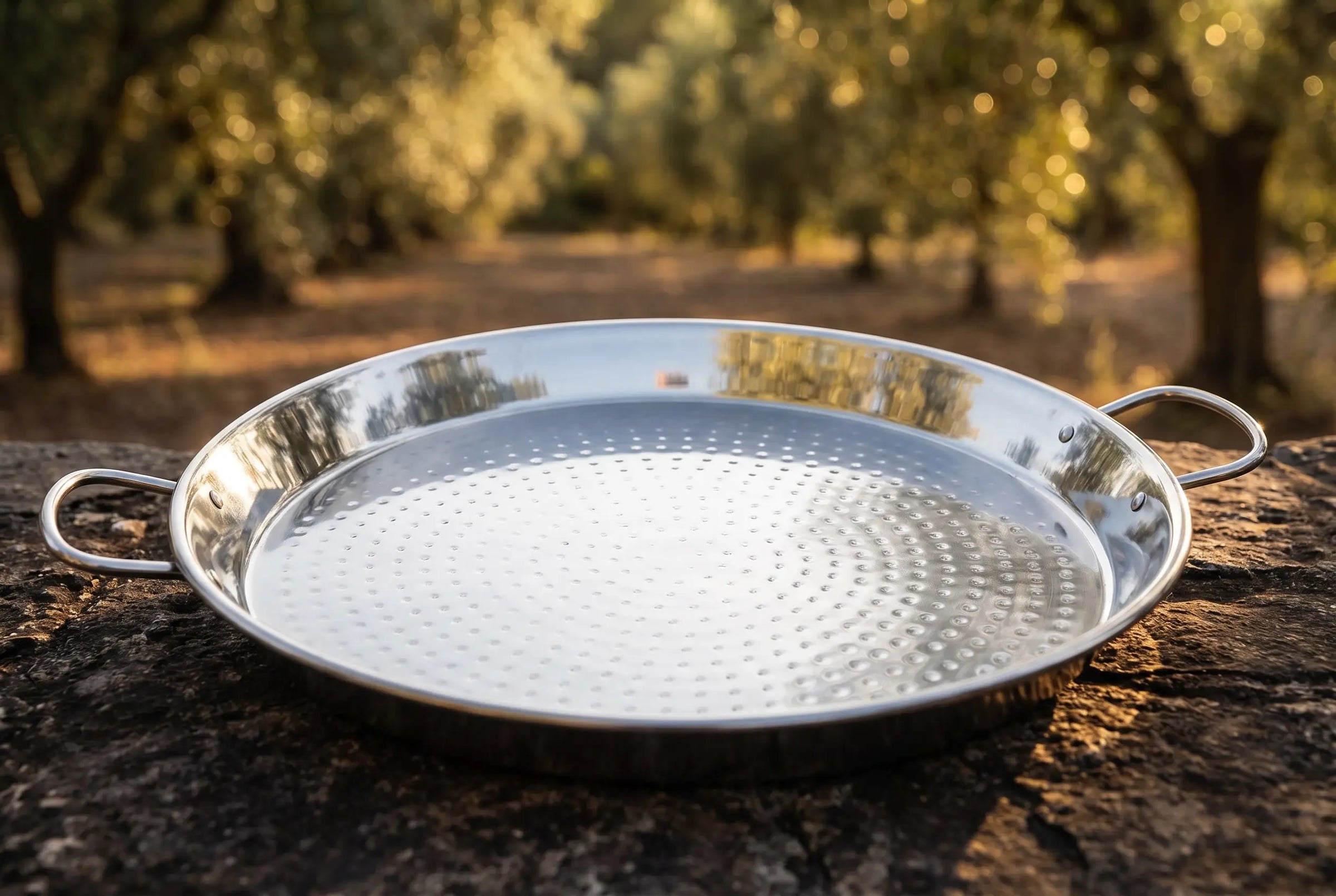 Paellas-de-Acero-Inoxidable-Elegancia-y-Durabilidad Escuina