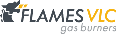 logo FlamesVlc